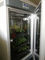 Incubadora artificial de la caja del crecimiento vegetal de la máquina de la germinación de la semilla del clima de la cámara del crecimiento vegetal
